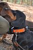 DOG GPS obojek X20 SET - Obrázek (1)