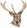 Jelen1