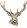 Jelen2
