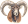 Muflon