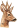 Srnec