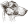 Foxteriér