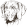 Výmarský ohař krátkosrstý