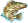 Pstruh2